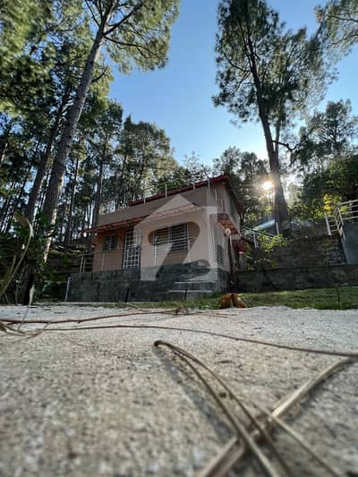 Ideally Located Residential Plot For Sale In New Murree Available
