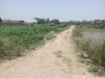 BEDIAN ROAD 2 KANAL FARM HOUSE PLOT FOR SALE