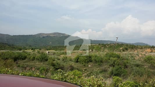 Kanal Plot, Near To Possession, Proper CDA Sector, CDA Transfer Avilable, Sector On Main Margalla Avenue, Beautiful View Of Margalla Hills, Ideal Location Plots Available, Near Park, On Main Double Road. C14, Islamabad.