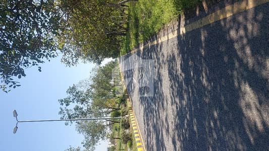 1kanal Plot For Sale