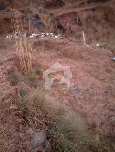 Registration Plot For Sale Murree Musari