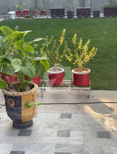 14 Marla Corner Plot For Sale In Rehman Enclave