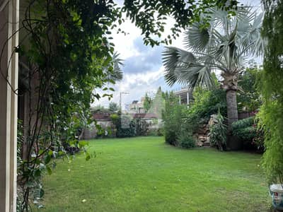 12 MARLA HOT LOCATION PLOT FOR SALE