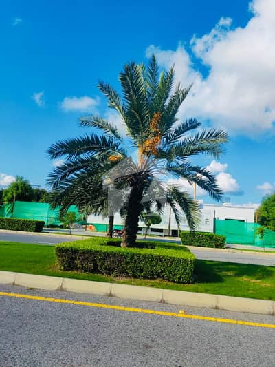 5 Marla Plot | 28 Lac | All Paid | G-6 Phase 4 Bahria Orchard