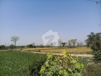 Ideal Location Kasur Road Semi Commercial Property Canal Water Sweet Water Inner