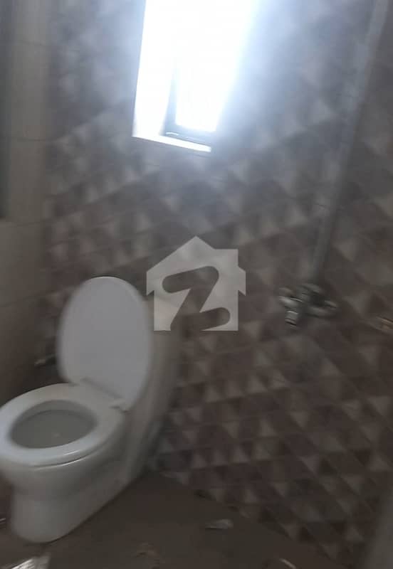 6 6