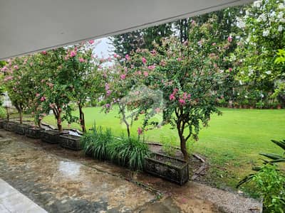 FOR SALE Proper Corner Plot