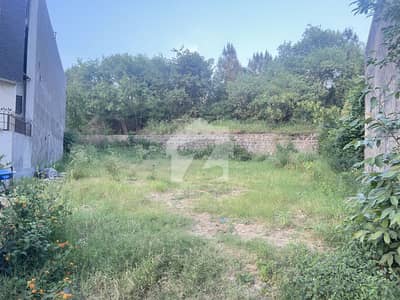 Safari Ho Es Extra Land Park Face Plot