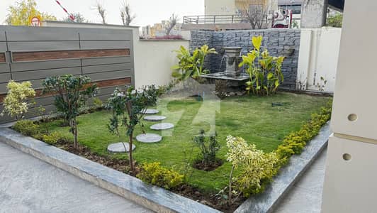 Designer House