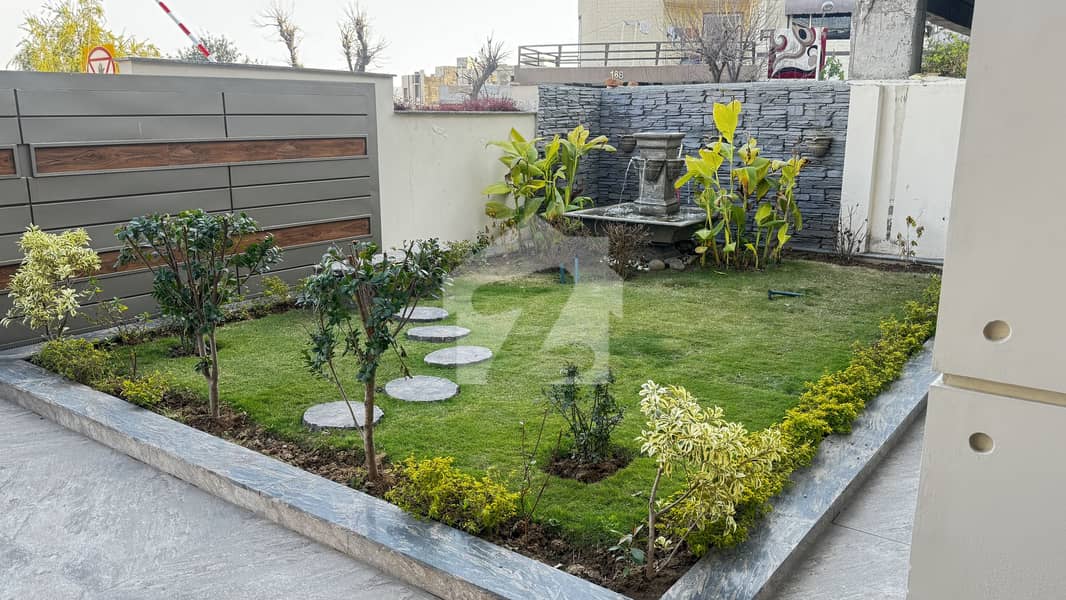 Designer House Designer House