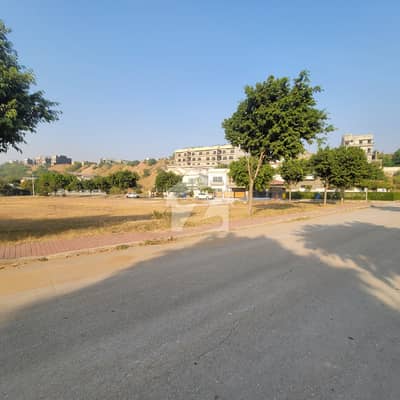 Overseas 117 Solid Land 100% Guarantee