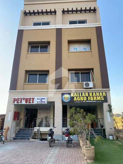 Spring North 5 Marl Plaza 3 lakh In Coming Rent