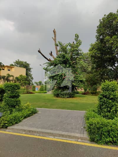 ڈریم گارڈنز ڈیفینس روڈ,لاہور میں 1 کمرے کا 3 مرلہ فلیٹ 1.0 کروڑ میں برائے فروخت۔