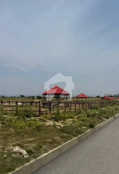 10 Marla Plot For Sale