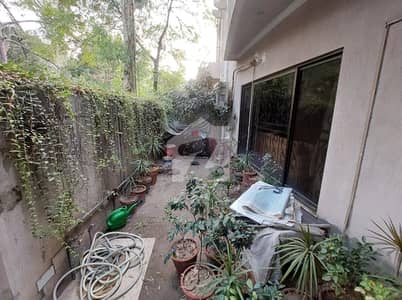 House Of 14 Marla Is Available For rent In Gulberg