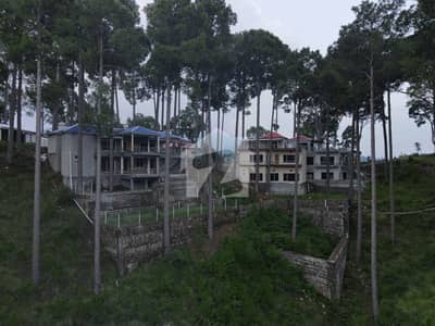 4 Kanal Farmhouse Plot for Sale | Scenic Hill Top Location & Great Investment