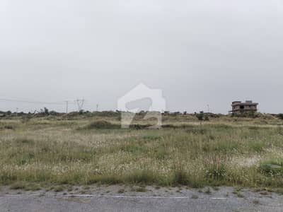 Plot Available For Sale In Wapda Town