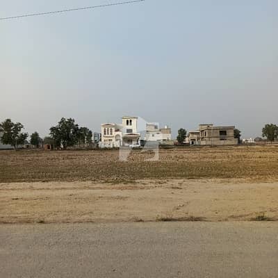 20 Marla Plot In S Block On Pine Evenue Road Near Lack City Lahore