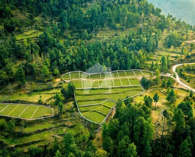 5 Marla Resort Plot For Sale
