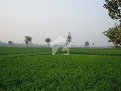 Agricultural Land Available For Sale