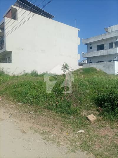 Main Road Back Plot