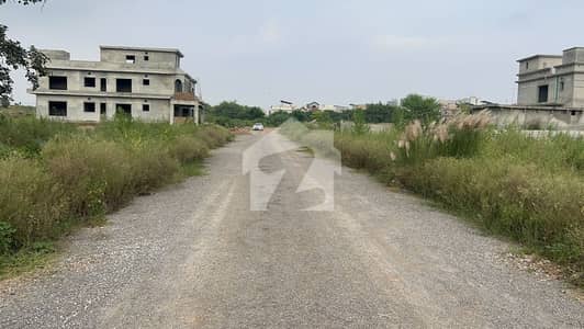 CDA Sector Park Enclave 3 (40*80) Ideal Location Plot For Sale.