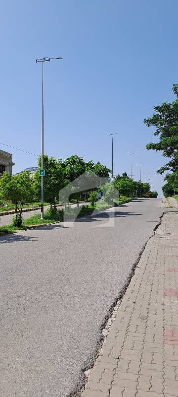 Main Boulevard Level Plot For Sale