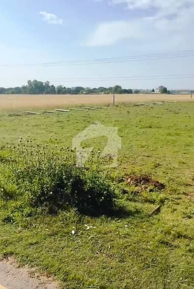 100 Kanal Land For Sale Ideal For University Or Medical College