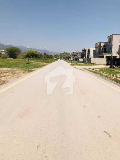40x80 INVESTOR Rate Plot Available For Sale In D-12.