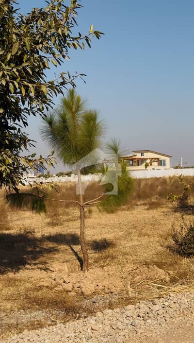 D Block Gulberg Greens Islamabad 4 Kanal Farmhouse Possession Main Road (Challenging Rate)