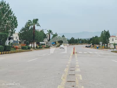 O1 Kanal Plot, Lane D, C2