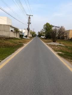 24 Marla Corner Plot On D Block For Sale