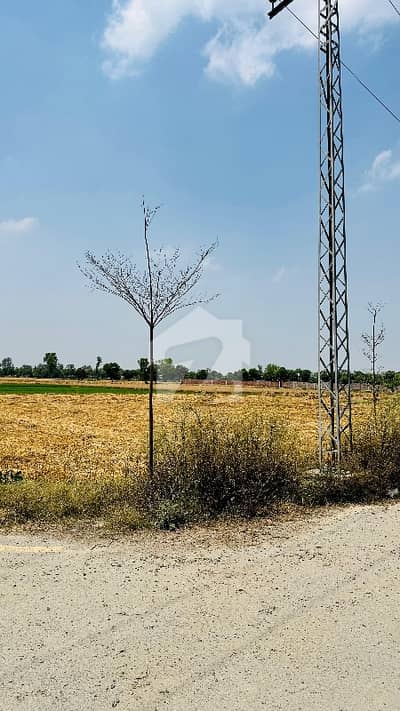 28 Kanal Land Moza Lakhoki Bedian Road Lahore