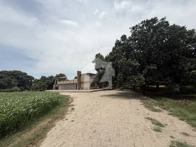 27 Marla Farmhouse for Sale Near Multan Airport | Mango Orchard Farmhouse | Boundary Wall