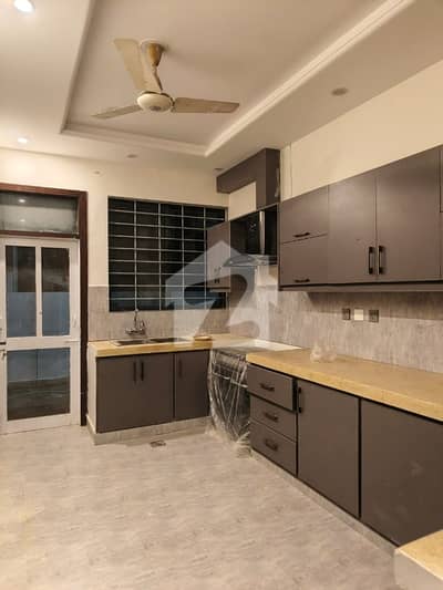 Brand New House For Rent In F10