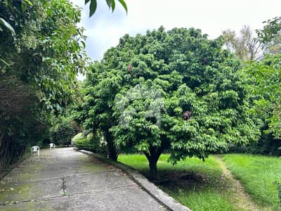 ای ۔ 12 اسلام آباد میں 1 کنال رہائشی پلاٹ 7.25 کروڑ میں برائے فروخت۔