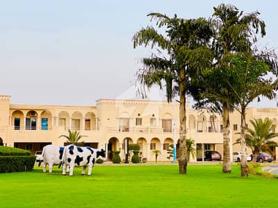 بحریہ آرچرڈ فیز 4 ۔ بلاک جی 5 بحریہ آرچرڈ فیز 4,بحریہ آرچرڈ,لاہور میں 10 مرلہ رہائشی پلاٹ 80.0 لاکھ میں برائے فروخت۔ بحریہ آرچرڈ فیز 4 ۔ بلاک جی 5 بحریہ آرچرڈ فیز 4,بحریہ آرچرڈ,لاہور میں 10 مرلہ رہائشی پلاٹ 80.0 لاکھ میں برائے فروخت۔