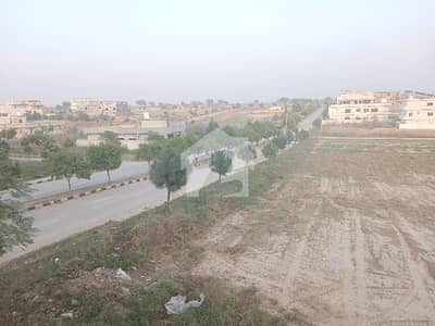یونیورسٹی ٹاؤن اسلام آباد میں 1 کنال رہائشی پلاٹ 85.0 لاکھ میں برائے فروخت۔
