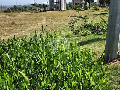 Plot For Sale