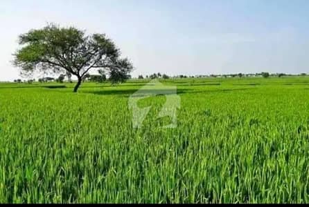 Near to DHA Phase 6 & 7 & 10 Agricultural Land for Sale Ideal for Dairy Farm, Farmhouse & Farming | 1 to 10 Acres Available