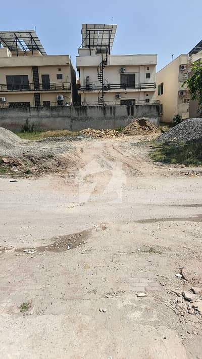 5 M Best Street 8 Best Location Ideal Ur Home N Investment Future Potential Surrounded By Homes