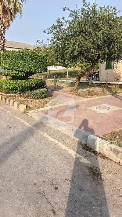 Very Nice Street 26 plot solid PU already done Very Nice Street 26 plot solid PU already done