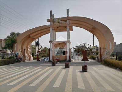 Brand New House For Rent In City Villas