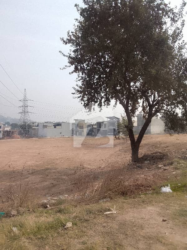 2 Marla Plot Available For Sale 2 Marla Plot Available For Sale