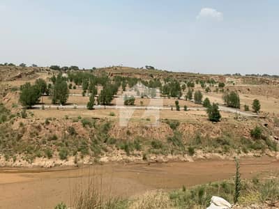 Dha Phase 7 Plot For Sale In Lilly Sector At Reasonable Price