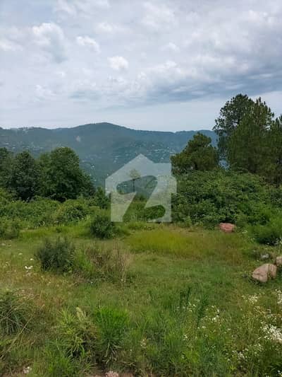 Level plot for Sale
