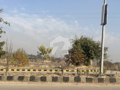 Corner Plot For Sale