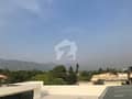 37 37