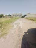 20 20