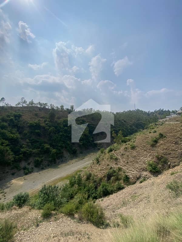 2 2